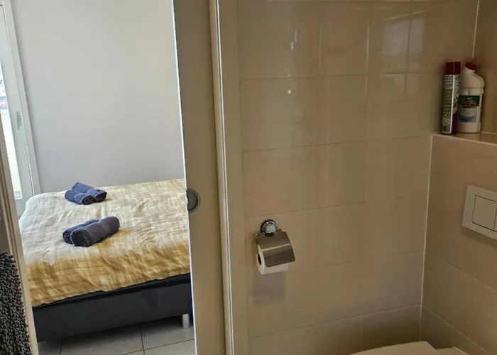 Penthouse Wayqup 公寓 奥斯滕德